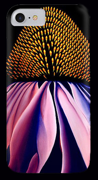 Echinacea by Anni Adkins Phone Case