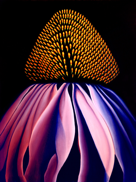 Echinacea Flower Painting by Anni Adkins