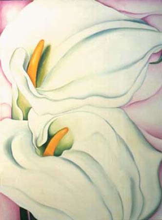 Georgia's Calla Lily - Flower Painting  by Anni Adkins
