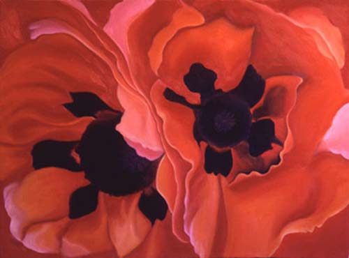 Georgia's Double Poppy - Flower Painting by Anni Adkins