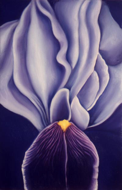 Purple Iris - Flower Paintings by Anni Adkins 
