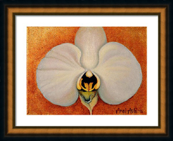 white orchid on gold leaf framed
